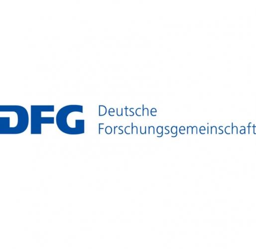 DFG DFG