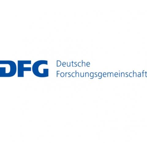 DFG
